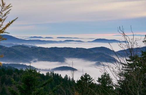 Gaishöll-Wasserfälle Apartment Schwarzwald - Foto 13