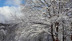 Sauerland Alm Winterberg 5 - Foto 2