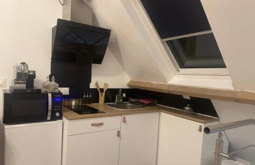 Studio Airport CDG - Asterix - Parc des Expo - Foto 6