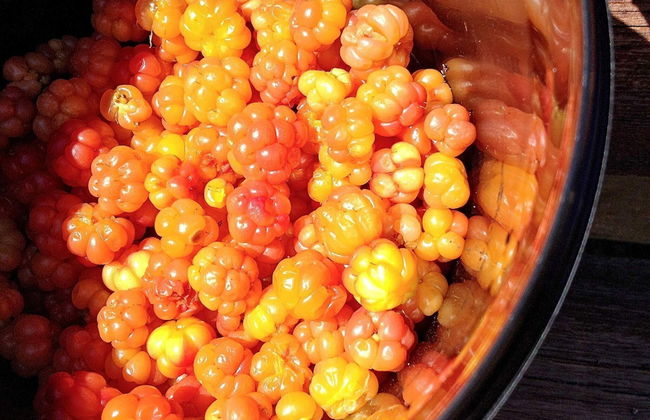 3 Person Holiday Home in BOE Telemark - Photo 11