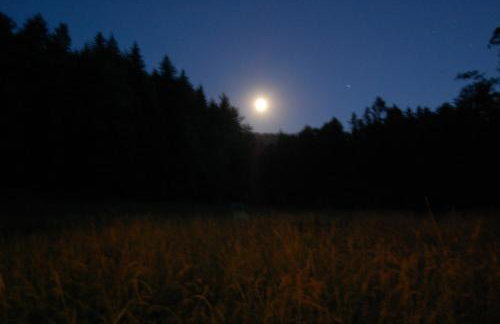Wiśniowe Zacisze - Agroturystyka - Photo 29