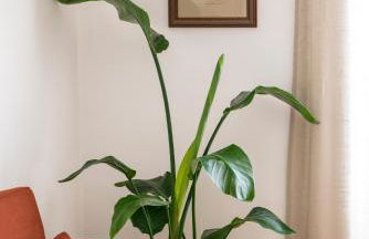 Villa Azul - Foto 57