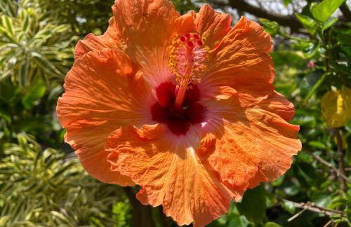 This is Paradise! - Foto 21