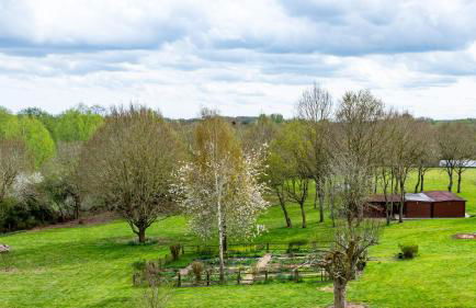 Countryside Cabin on 5 Acres Countryside with Outdoor Firepit, Cinema and converted Stables - Foto 43