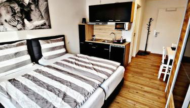 Lions Place Premium Apartments BUSINESS optionaler Zugang zum SPA- Bereich - Foto 5
