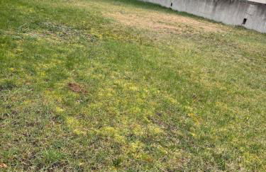 House, garden & garage, Downtown, Near Zenith & A75 - Foto 35