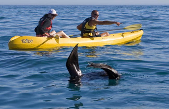 Catlins Newhaven Holiday Park - Foto 39