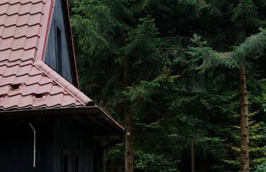 Piwniczna 187 - Vintage House - Foto 40