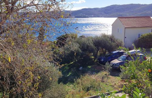 Apartment Srsen - Foto 5