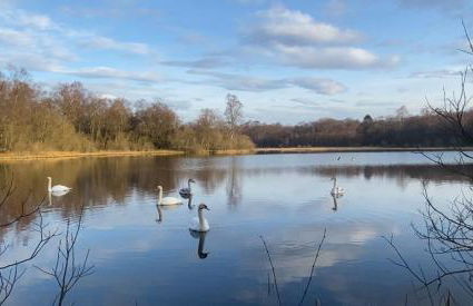 The Lodge at Muir Estate - Foto 40