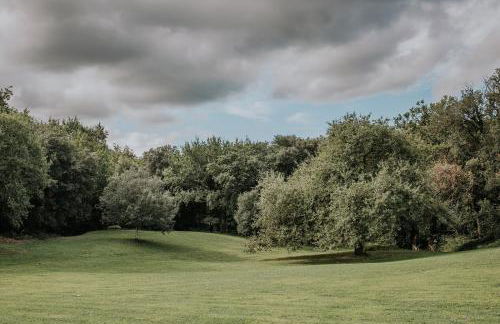 Ginestriccio - Foto 34