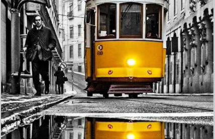 Silva by the Sea with Nazare's Best Views - Foto 35