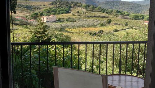 4SOM5- Appartement T2 avec jolie vue sur les collines - Foto 2