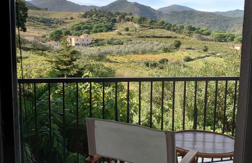 4SOM5- Appartement T2 avec jolie vue sur les collines - Foto 2