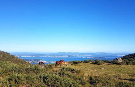 O Lagar apartamento grande y luminoso. 8 personas. - Foto 32
