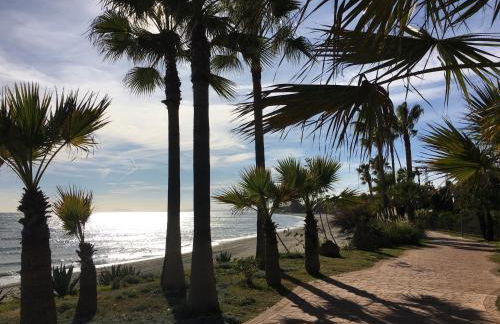 Mon paradis au soleil - Photo 58