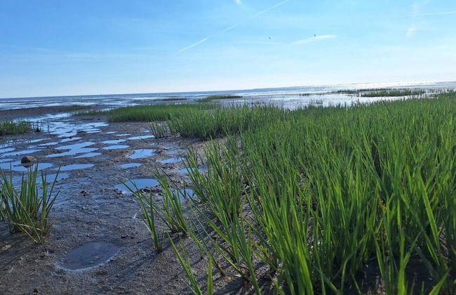 2 Person Holiday Home in Esbjerg V-by Traum - Foto 47