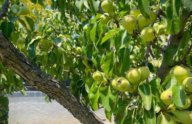 Villa Eden - Foto 16