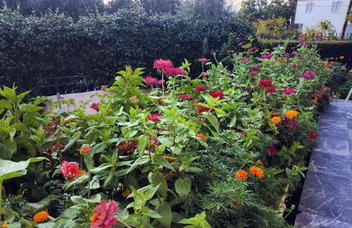 Studio Kalypso - Foto 11