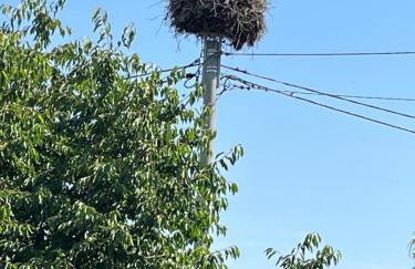 Ferienhaus in Polen- an den kaschubischen Seen - Foto 28