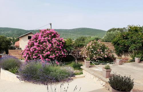 House FoRest - Foto 32