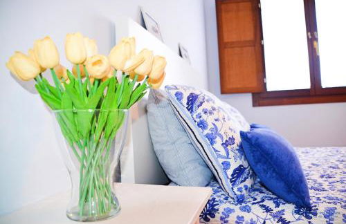 la cotera vut - Foto 18