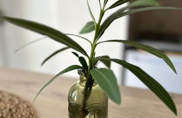 Apartamento Les Eucalyptus - Foto 6