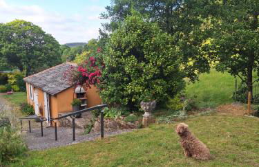 EL VIEJO MOLINO - Foto 21