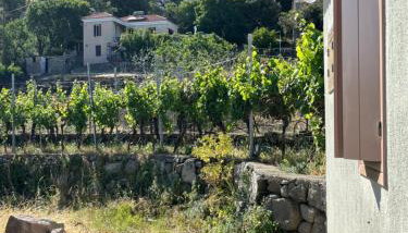 Tsagalo House - Photo 4