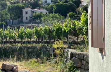 Tsagalo House - Foto 4