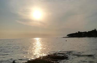 Apartments Eliva - Foto 13