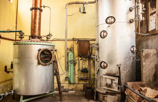 Tour del pisco por el Valle del Elqui - Foto 1