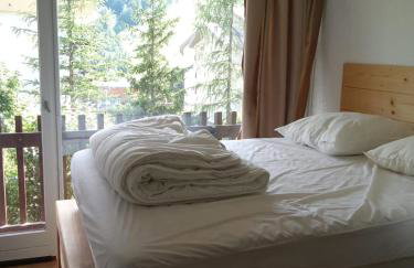 L’ALPIN AU PIED DES PISTES ET COMMERCES - Foto 8