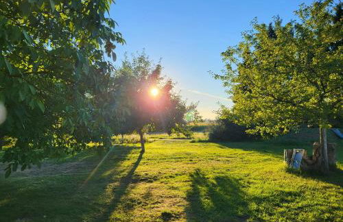 Ferienwohnung Sonnenschein für bis 4 Personen - Foto 18