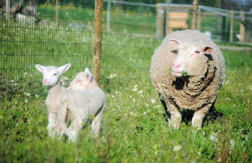 Monte Calmaria by Estilo Lusitano, with private pool and Jacuzzi - Foto 22