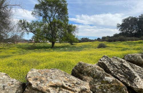 Cortijo Huerta Galindo - Foto 27