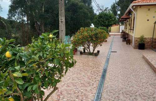 Casa Pejão Do Paraíso - Foto 5