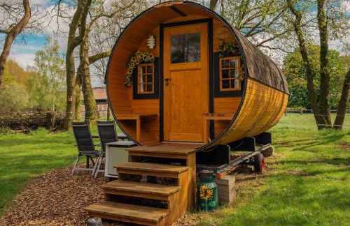 Kuhle Auszeit - Fass Sonnenblume - Foto 1