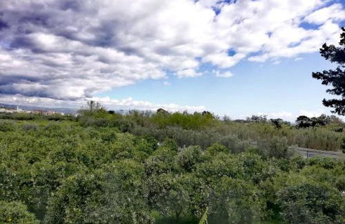 LudoMar Country Residence - Rooms & Apartments - Foto 36