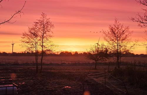 Ferienwohnungen Das Finkhaus - Foto 52