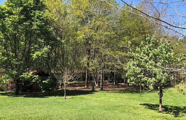 Self Catering Quinta Lamosa - Responsible Tourism for 2 People - Foto 76