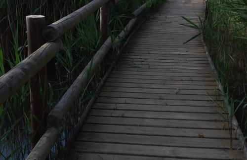 Casa rural Cal Fuster Experience - Foto 78