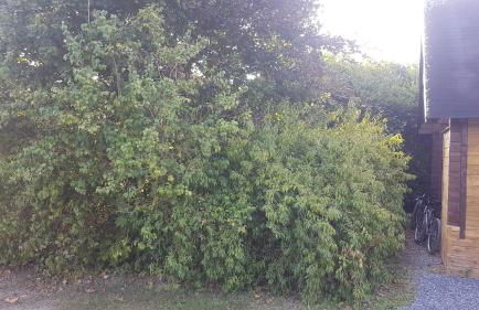 Chalet Domaine du Hulobiet - Foto 27