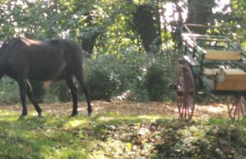 La Petite Maison dans La Mégie Tiny House - Foto 18