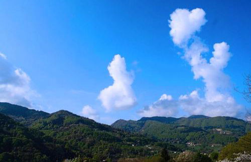 Agriturismo Fattoria Ortoalpino - Foto 70