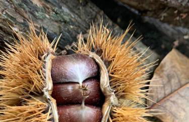 Maison les pieds dans l'eau - Foto 23
