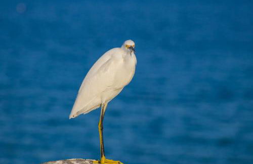 Blue Wave Villa West - Foto 42