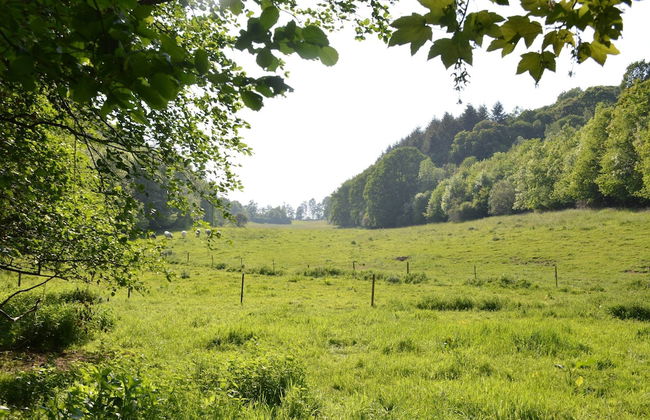 Group Escape by Molignee River - Foto 75