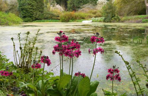 The Stables - Foto 35