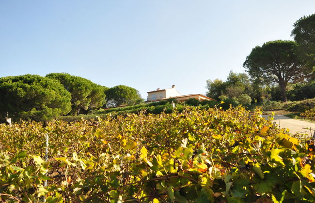 Hameau du Brost - Foto 16